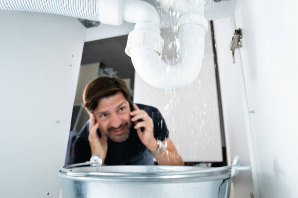 Best Local Plumber Services  in Jefferson, IA
